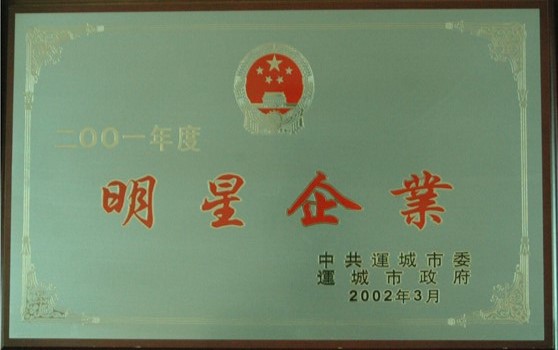 2002年3月集团荣获“二00一年度明星企业”称号