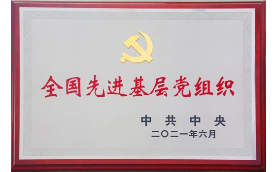 2021月6日大运集团党委荣获“全国先进基层党组织”荣誉称号