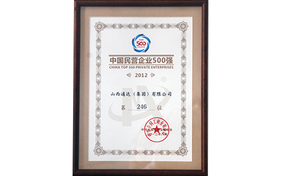 2012年8月集团位列中国民营企业500强第246位