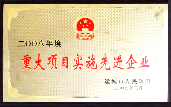 2009年3月集团荣获“二〇〇八年度重大项目实施先进企业”荣誉称号